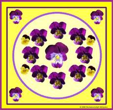 Blumen-Mandala-4.jpg